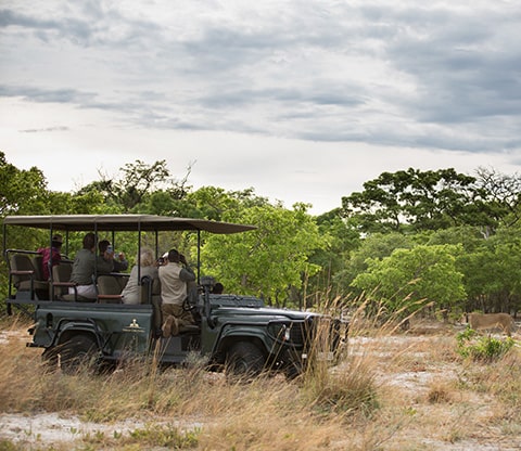 Guided Game Drive through Liuwa Plain