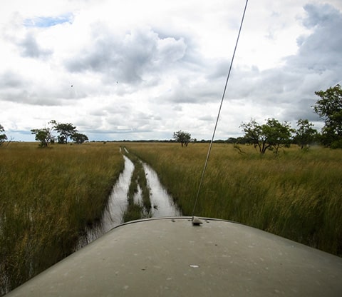 A view through a vehicle driving through Liuwa Plain